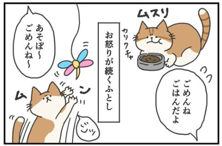 猫　怒る　漫画