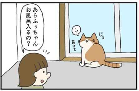 猫　お風呂　漫画