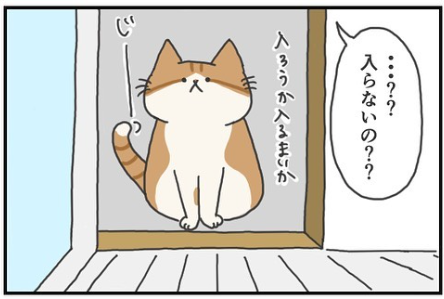 猫　お風呂　漫画