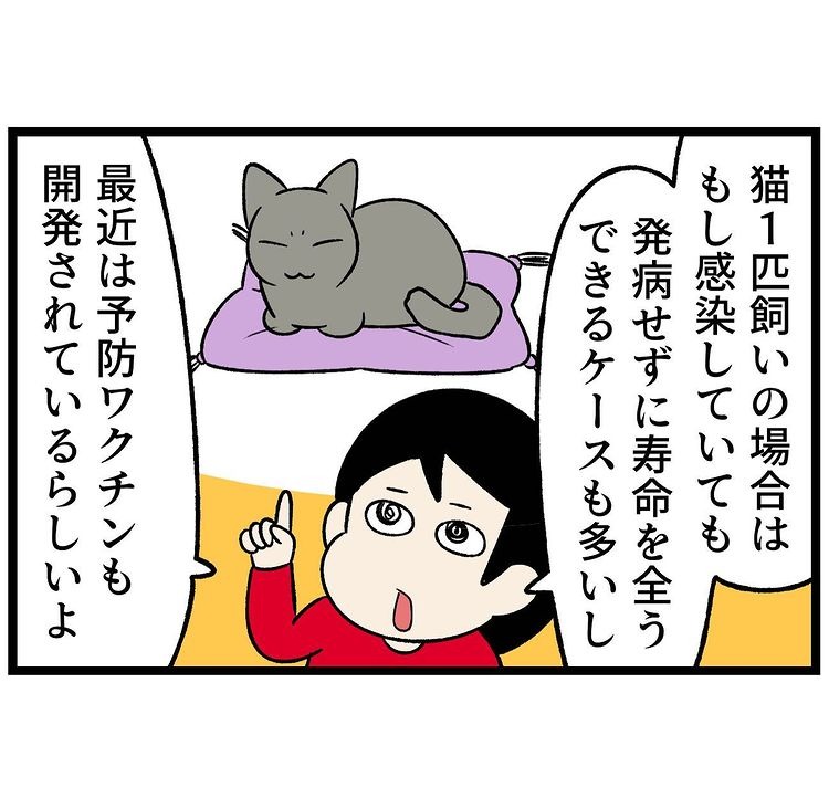 猫　病気　漫画