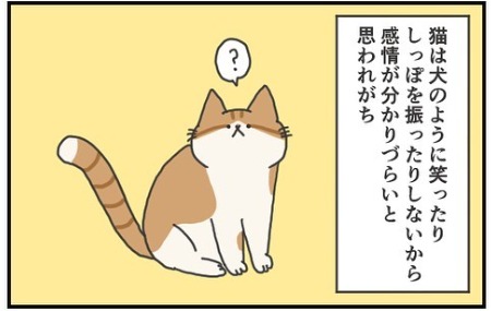 猫　しっぽ　漫画
