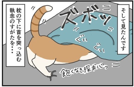 猫　執念　漫画