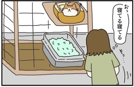 猫　伸び　漫画