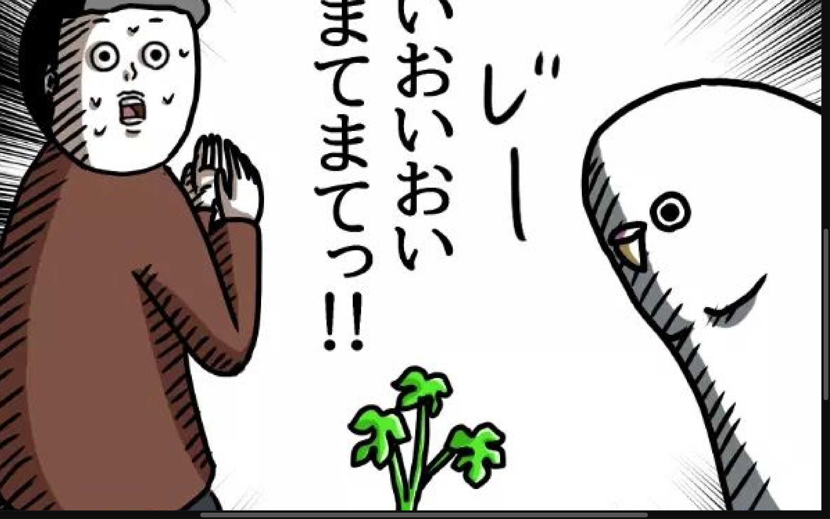 【漫画】第34話：新芽が危ない！隙があったら食べてしまうインコから目が離せない【マロくん】