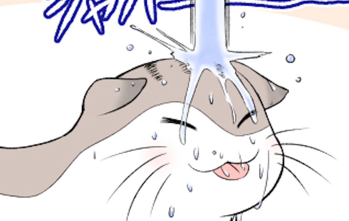 【漫画】第59話：幸せそうでほっこり♡蛇口からお水を直飲みするニャンコが可愛い【ぼっちゃんくん】