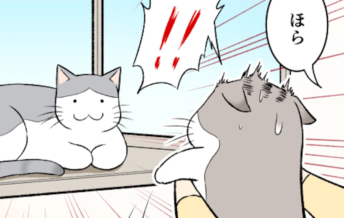 【漫画】第63話：先客にびっくりするニャンコ♡出窓にいたのは犬猿の仲の同居猫【ぼっちゃんくん】
