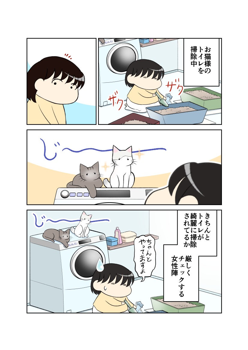 猫　監視　漫画