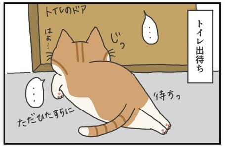 猫　距離　漫画