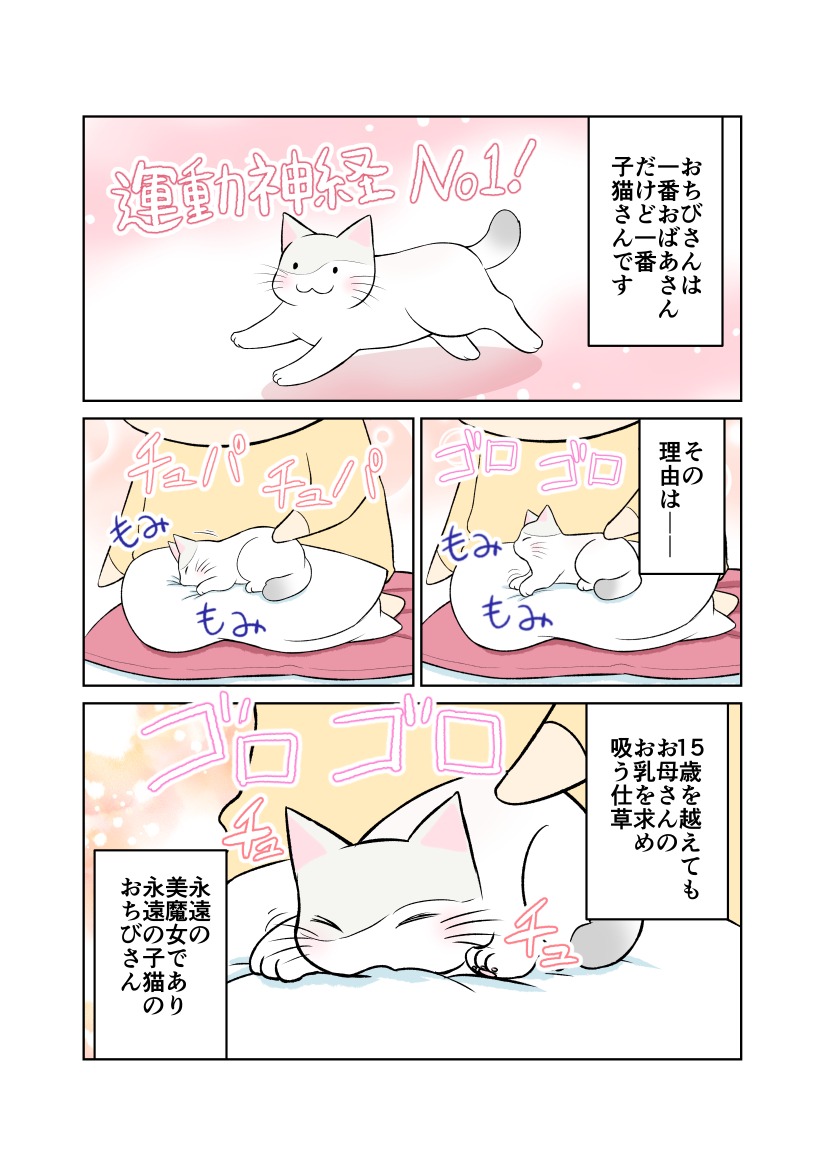 猫　吸う　漫画