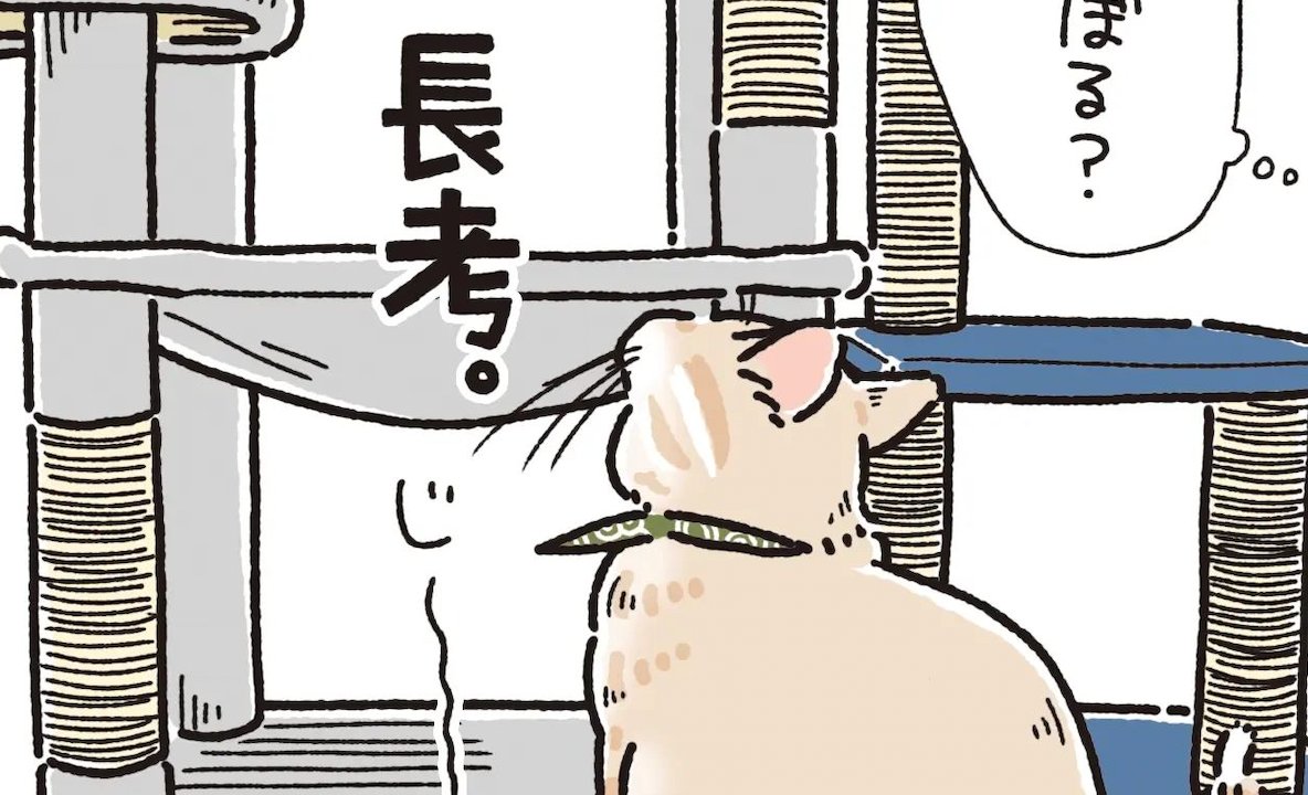 【漫画】第122話：お、のぼる？下からタワーを見上げていろいろ考える猫くんに大注目♪【麦くん】