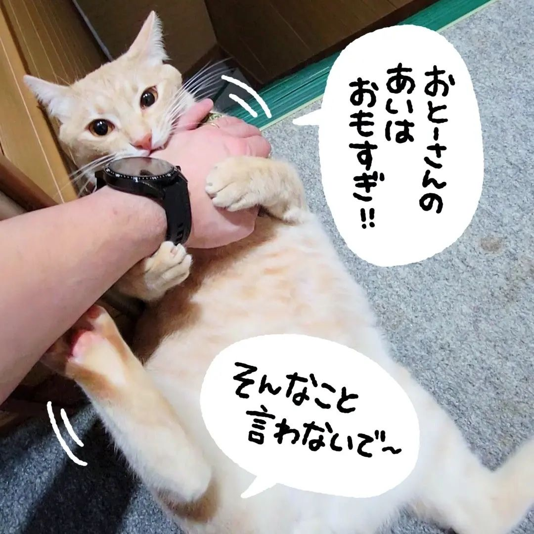 猫　思い　漫画