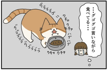 猫　変な音　漫画