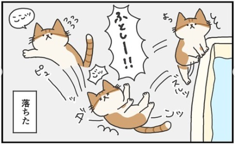 猫　お風呂　漫画