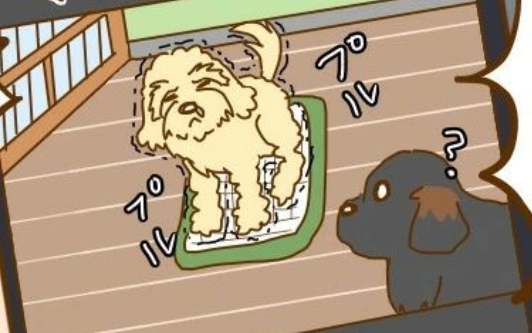 【漫画】第59話：トイレまだぁ？飼い主さんのいない間に糞を片付けてしまうワンコに驚愕【ルイボスちゃん】