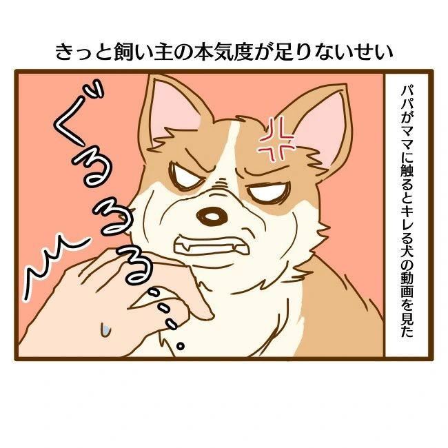 犬　怒る　漫画
