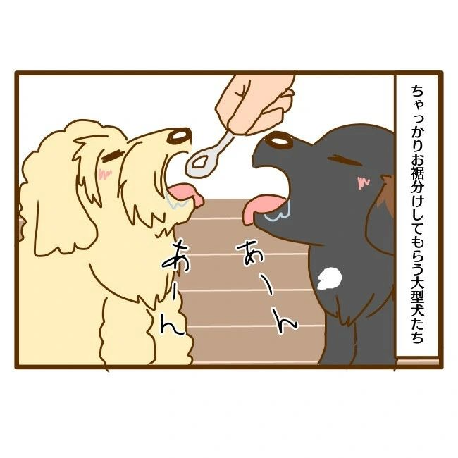 犬　アイス　漫画