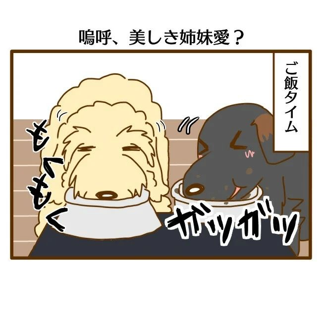 犬　ご飯　漫画