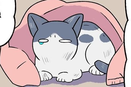 【漫画】第51話：先住猫とイメージを合わせたい！子猫さんの名前付けが意外と難しい【ななほしちゃん】