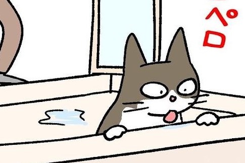 【漫画】第69話：お風呂嫌いだけどお風呂場は好き？猫あるあるに思わず共感！【ナノくん】