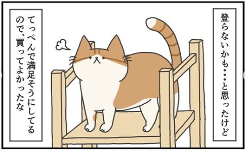 猫　キャットタワー　漫画