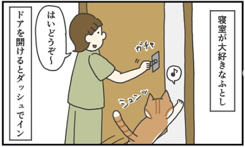 猫　かくれんぼ　漫画