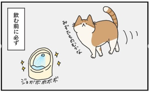 猫　給水器　漫画