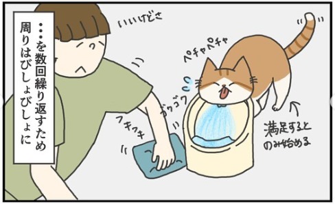 猫　給水器　漫画