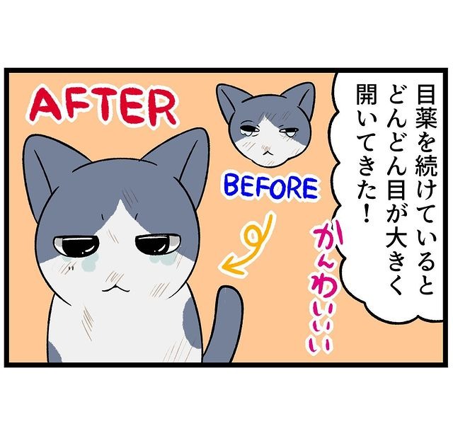 猫　目薬　漫画