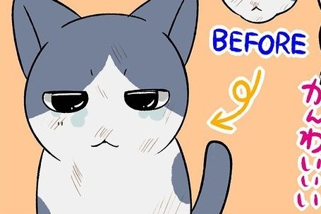 【漫画】第56話：目薬がんばったね！だんだん可愛いお顔に戻っていく保護猫さん【ななほしちゃん】