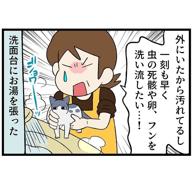 猫　シャンプー　漫画