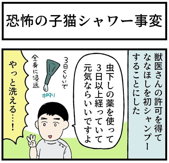 猫　シャンプー　漫画