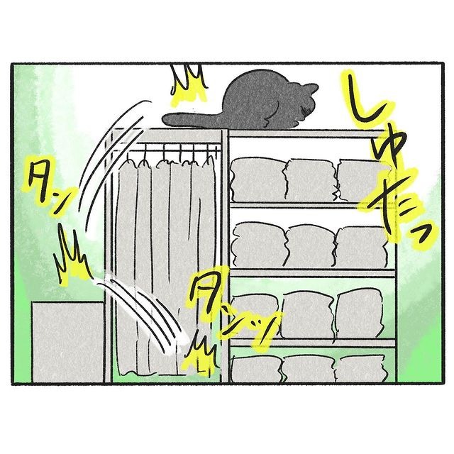 猫　棚に乗る　漫画