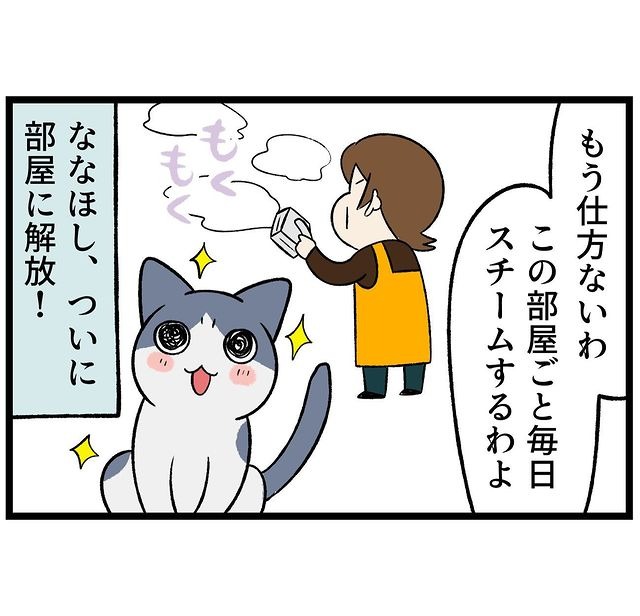 猫　スチーム　漫画