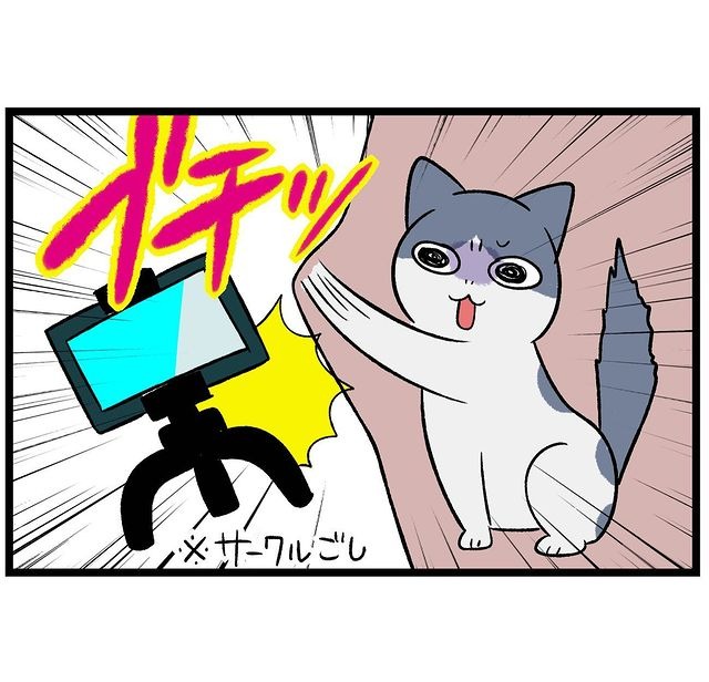 猫　攻撃　漫画