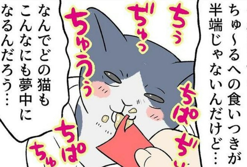 【漫画】第46話：「美味しすぎるニャ♡」ご飯よりおやつに夢中になる保護猫ちゃん【ななほしちゃん】