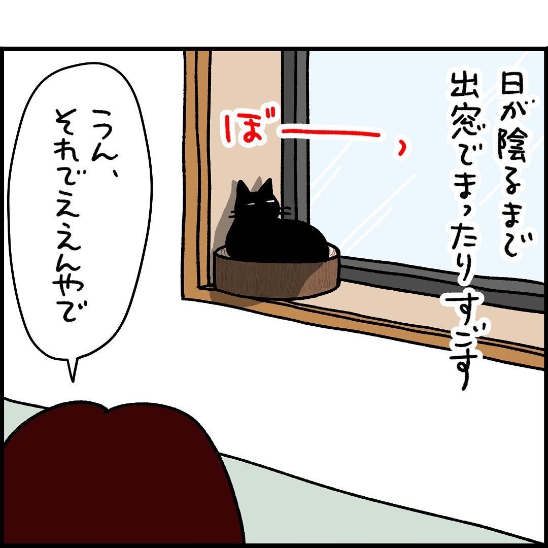 漫画　猫　窓