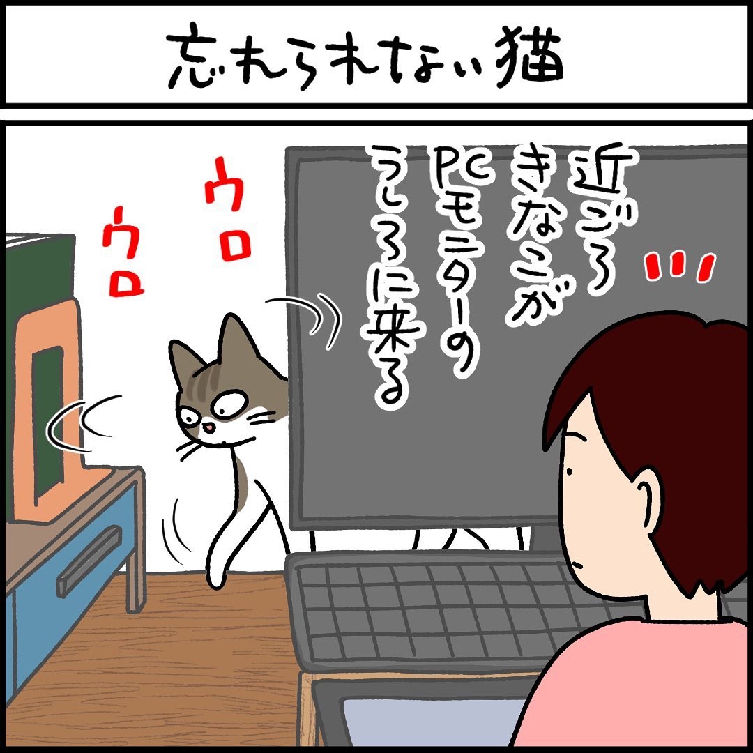 漫画　猫　パソコン