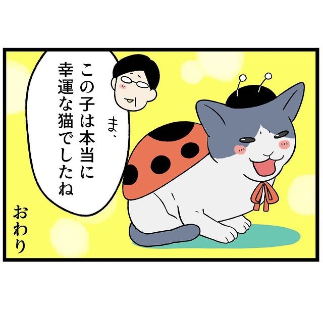 猫　てんとう虫　漫画