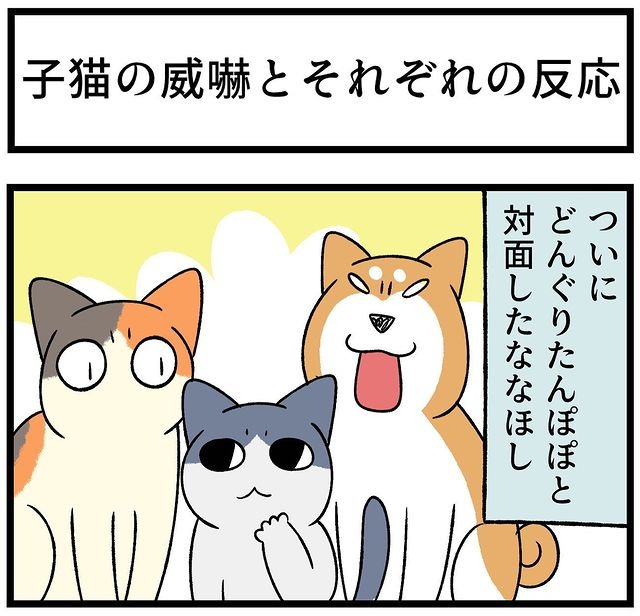 猫　同居　漫画