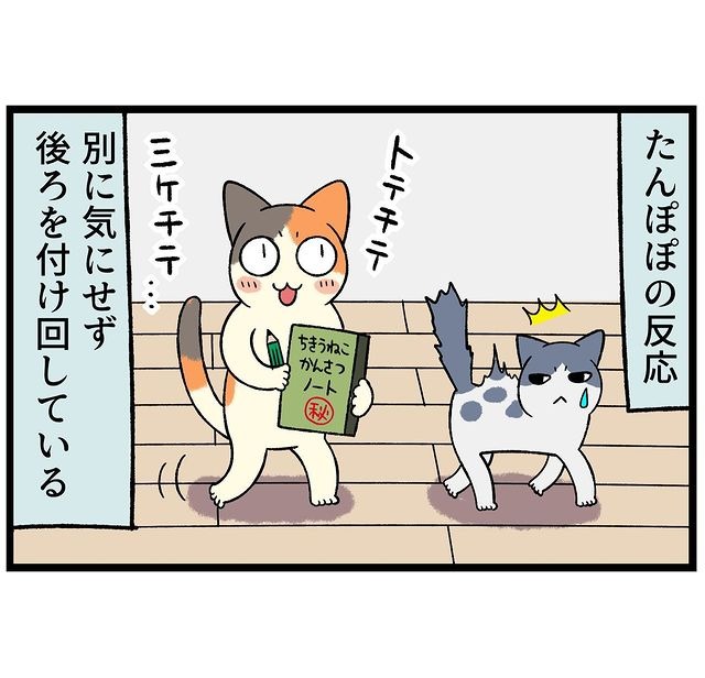 猫　反応　漫画