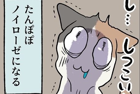 【漫画】第81話：自分だってしつこいのに…。妹に付きまとわれて音を上げる猫さん【たんぽぽちゃん】