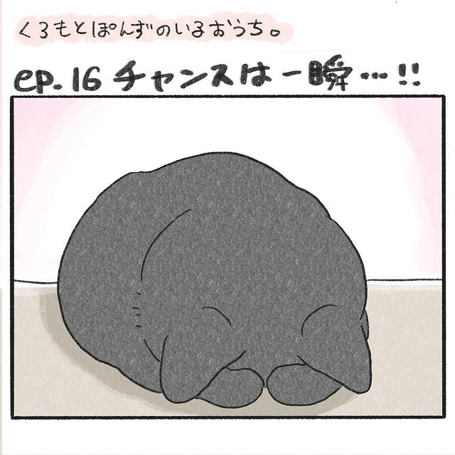 猫　寝る　漫画