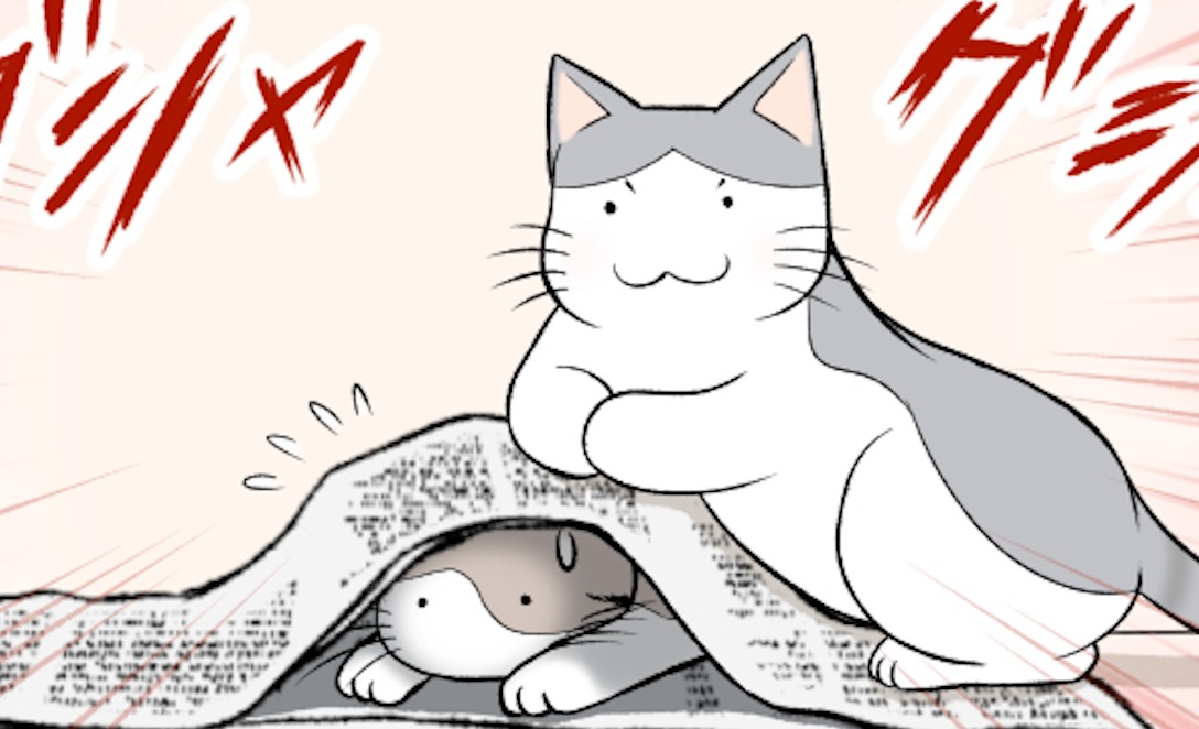 【漫画】第77話：急に重たいニャンッ！同居猫に潰されて焦るニャンコが面白い♡【ぼっちゃんくん】