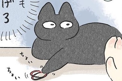 【漫画】第11話：プレゼントじゃないの…？遊ぶ気マンマンな猫さんに笑っちゃう♪【くろもくん】