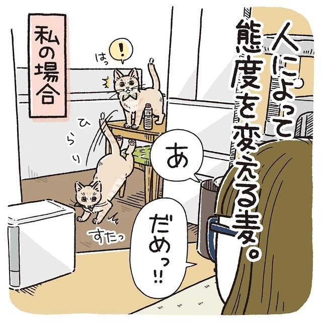 猫　怒る　漫画