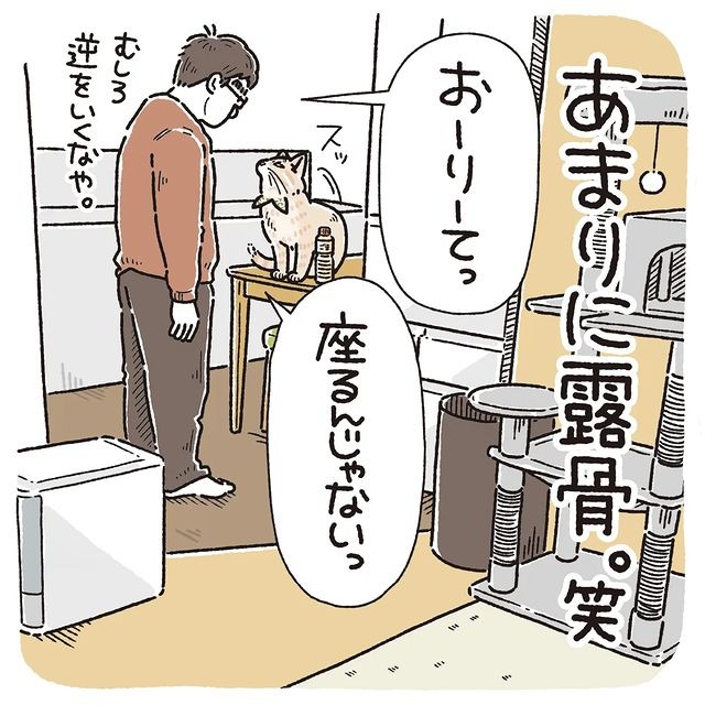 猫　聞かない　漫画