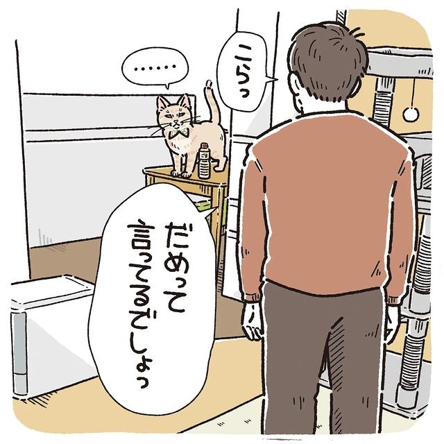 猫　聞かない　漫画