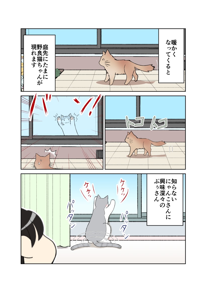 猫　興味津々　漫画