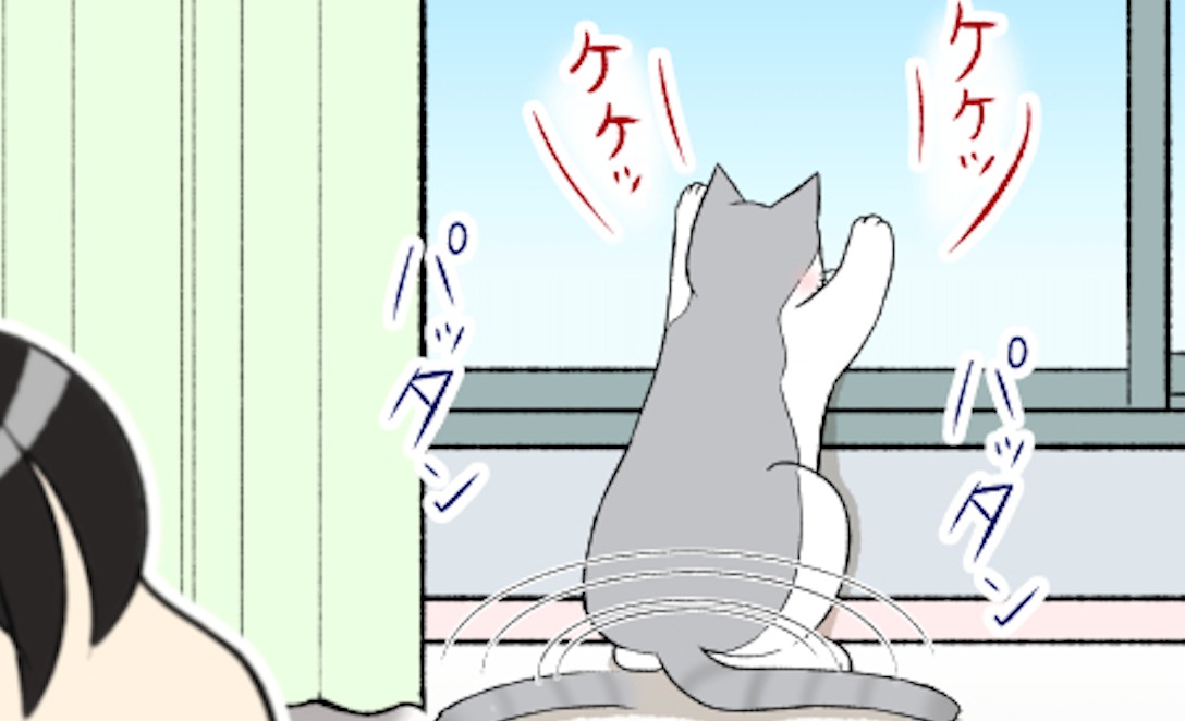 【漫画】第83話：野良猫さんが気になるニャンコ♪窓に釘付けの姿がとっても可愛い【ぷぅすけくん】