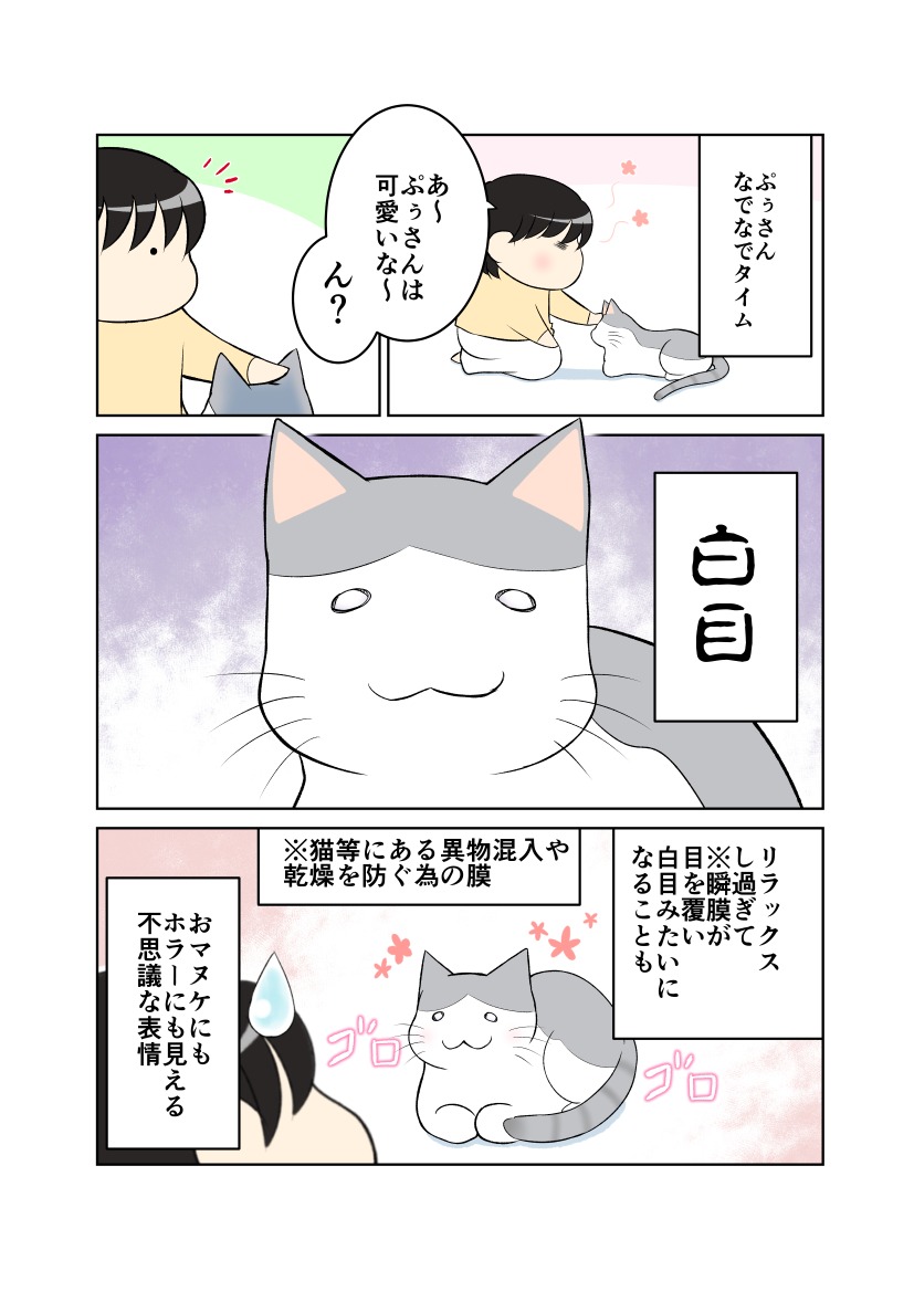 猫　白目　漫画